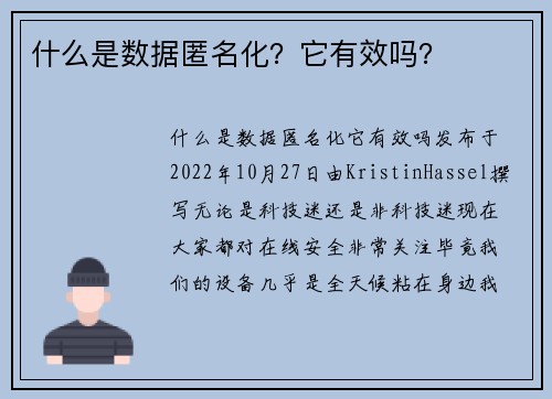 什么是数据匿名化？它有效吗？